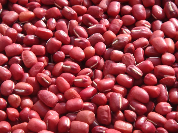 奈良漬どら焼き